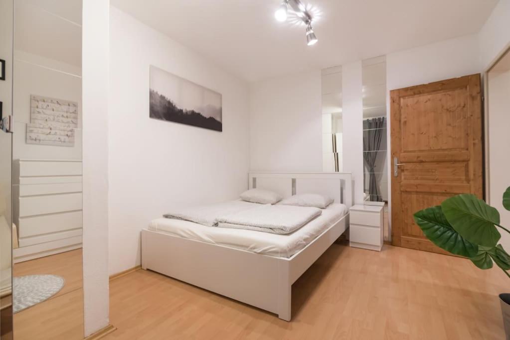 Spacious Central Apartment ウィーン エクステリア 写真